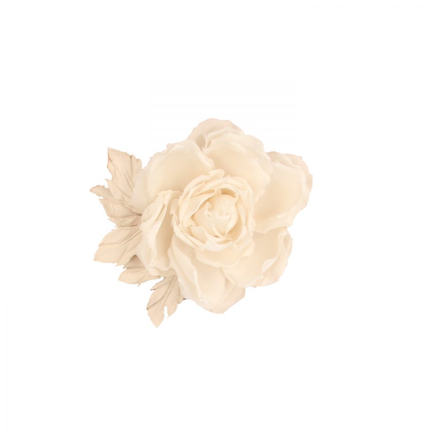 123_0020_7-psd 123_0020_7-psd