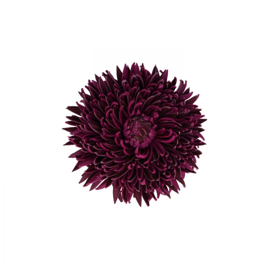 neu_0011_19-psd neu_0011_19-psd